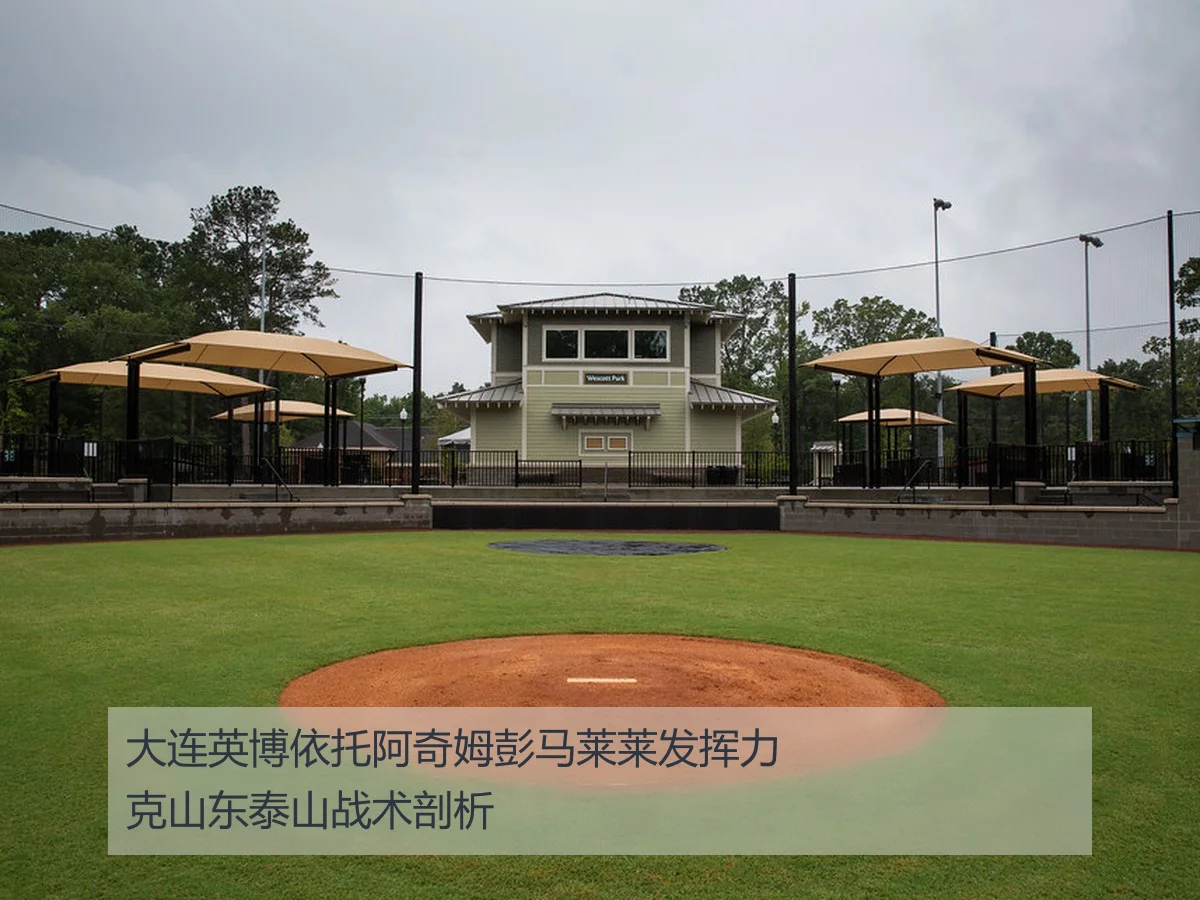 大连英博依托阿奇姆彭马莱莱发挥力克山东泰山战术剖析